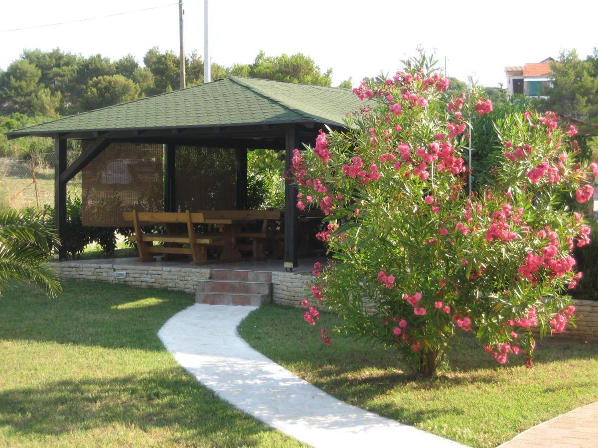 Villa „Drei Palmen“ Sveti Filip i Jakov Ngoại thất bức ảnh