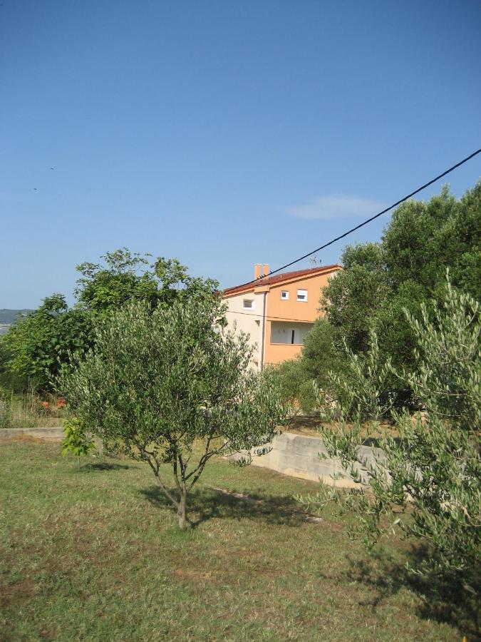 Villa „Drei Palmen“ Sveti Filip i Jakov Ngoại thất bức ảnh