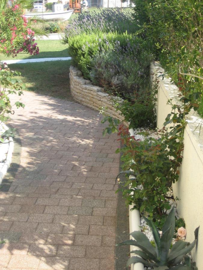 Villa „Drei Palmen“ Sveti Filip i Jakov Ngoại thất bức ảnh