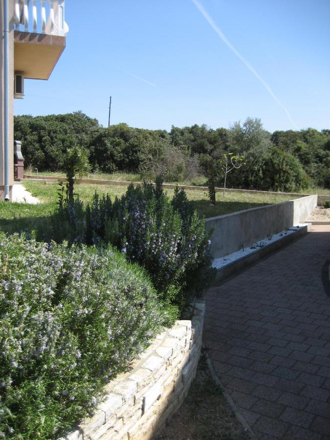 Villa „Drei Palmen“ Sveti Filip i Jakov Ngoại thất bức ảnh