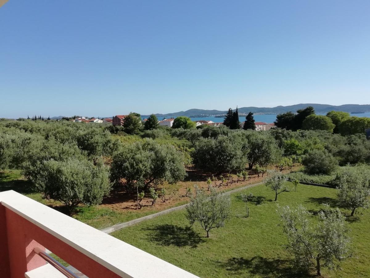 Villa „Drei Palmen“ Sveti Filip i Jakov Ngoại thất bức ảnh