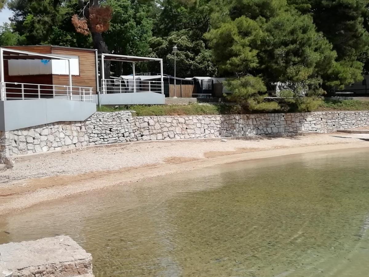 Villa „Drei Palmen“ Sveti Filip i Jakov Ngoại thất bức ảnh
