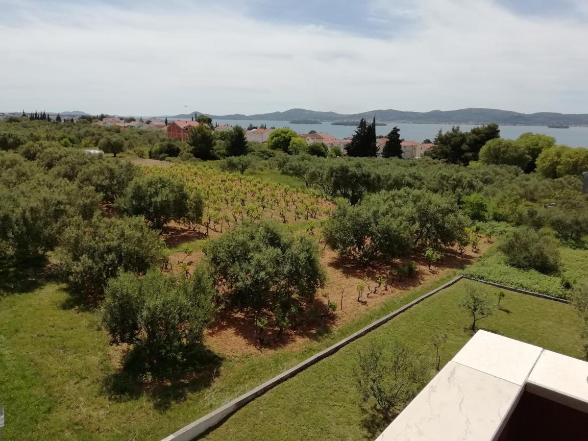 Villa „Drei Palmen“ Sveti Filip i Jakov Ngoại thất bức ảnh